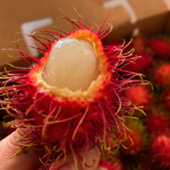 Rambutan 8